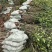 油茶苗大量现货，基地现挖现发根系发达存活率高