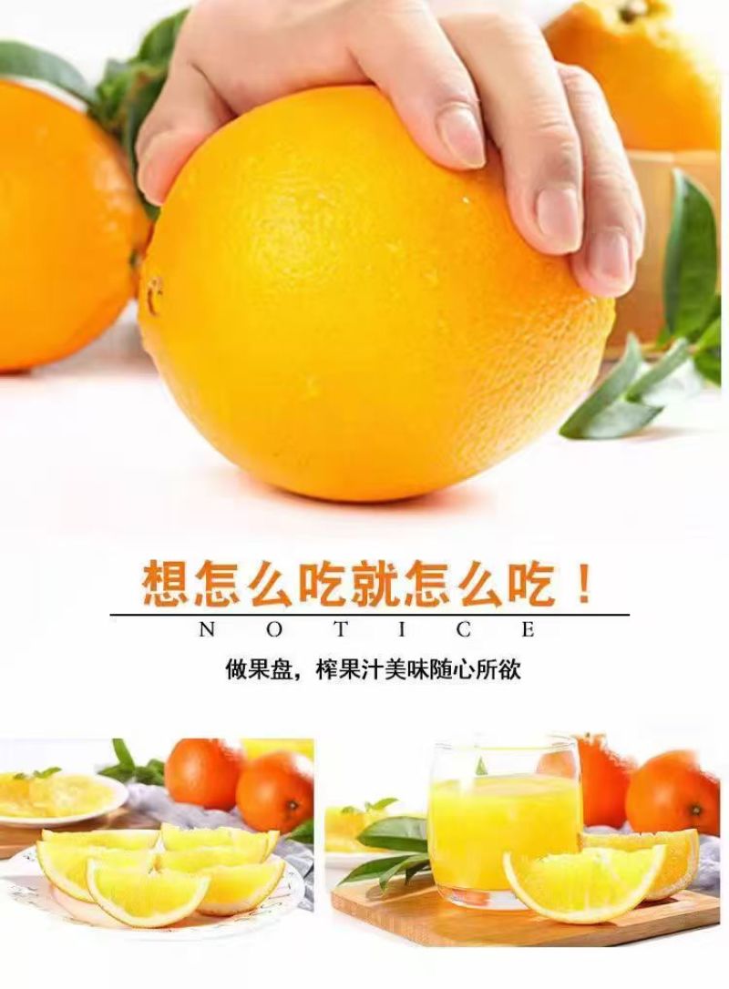 【热卖中】正宗赣南脐橙产地直发一条龙服务一件代发批发团购