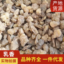 中药材乳香醋乳香炙乳香道地药材规格齐全现货供应