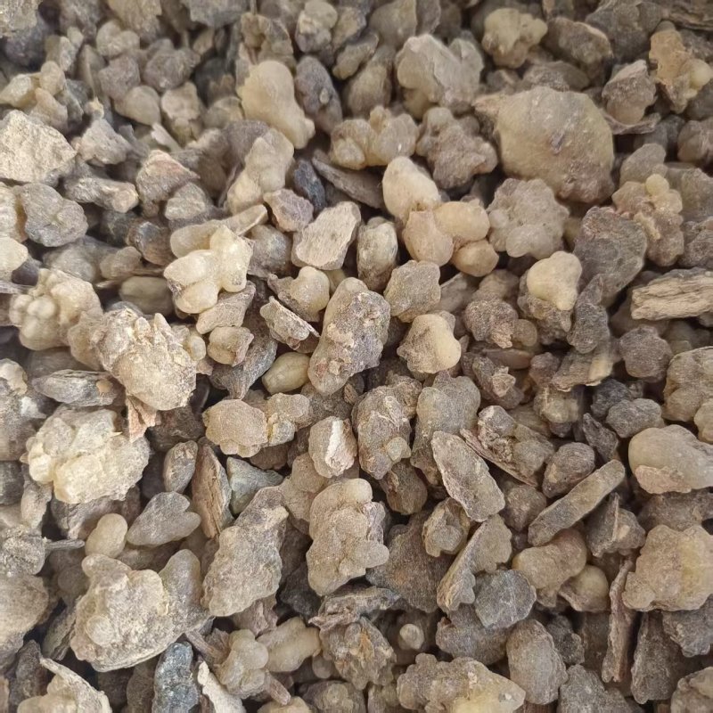 中药材乳香醋乳香炙乳香道地药材规格齐全现货供应