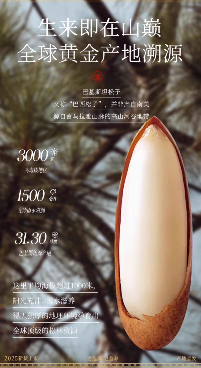 巴西松子电商展会专用特级坚果2025新货