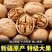 新疆185大核桃电商展会好货薄皮核桃电商好货