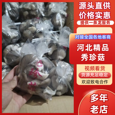 河北精品秀珍菇对接商超档口承接电商可视频看货