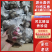 河北精品秀珍菇对接商超档口承接电商可视频看货