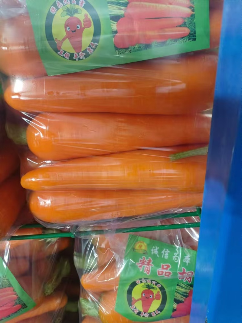 通许胡萝卜全樱带土半樱水洗中条都有不开裂糠心预冷保存时间长