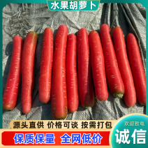 陕西精品水果胡萝卜秤干红胡萝卜货源稳定诚信经营欢迎批发
