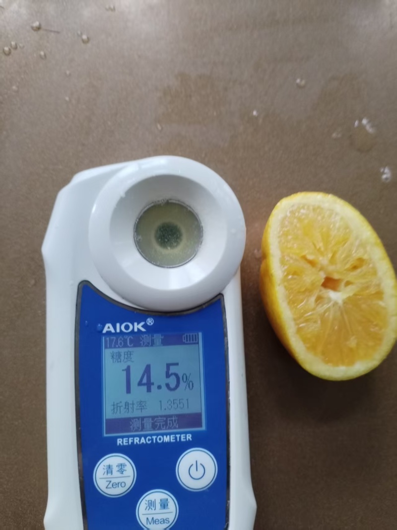 湖南精选冰糖橙基地直供质量保证一手货源对接商超市场