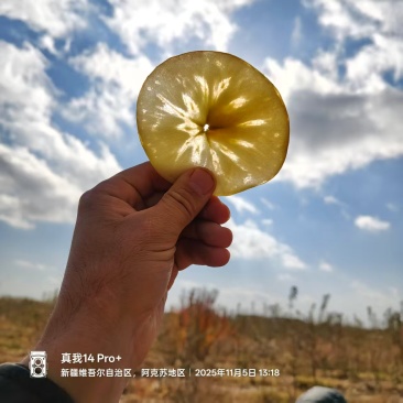 新疆阿克苏苹果冰糖心苹果产地直发品质保障量大优惠