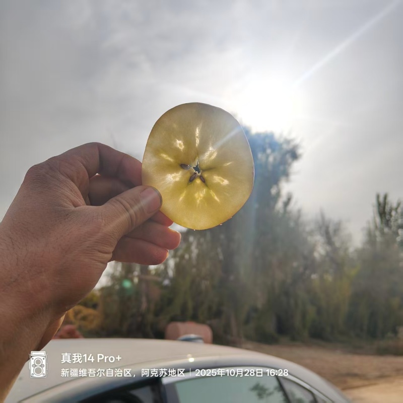 （精）阿克苏冰糖心苹果产地直发货源充足保质保量量大优惠