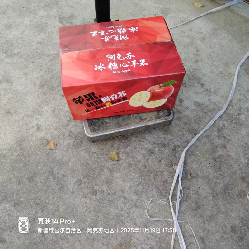 （精）阿克苏冰糖心苹果产地直发货源充足保质保量量大优惠