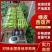 绿盛西葫芦等级齐全承接餐饮批发市场电商社区团购商超按要求分拣
