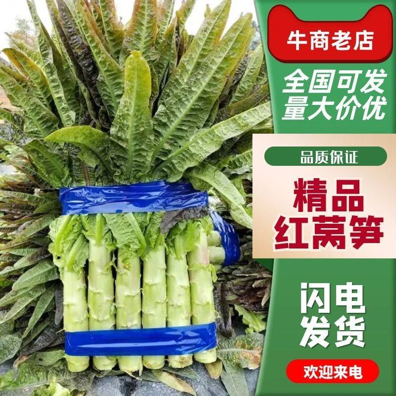 【实力推荐】红莴笋产地直发供应电商专业团队供货一条龙服务