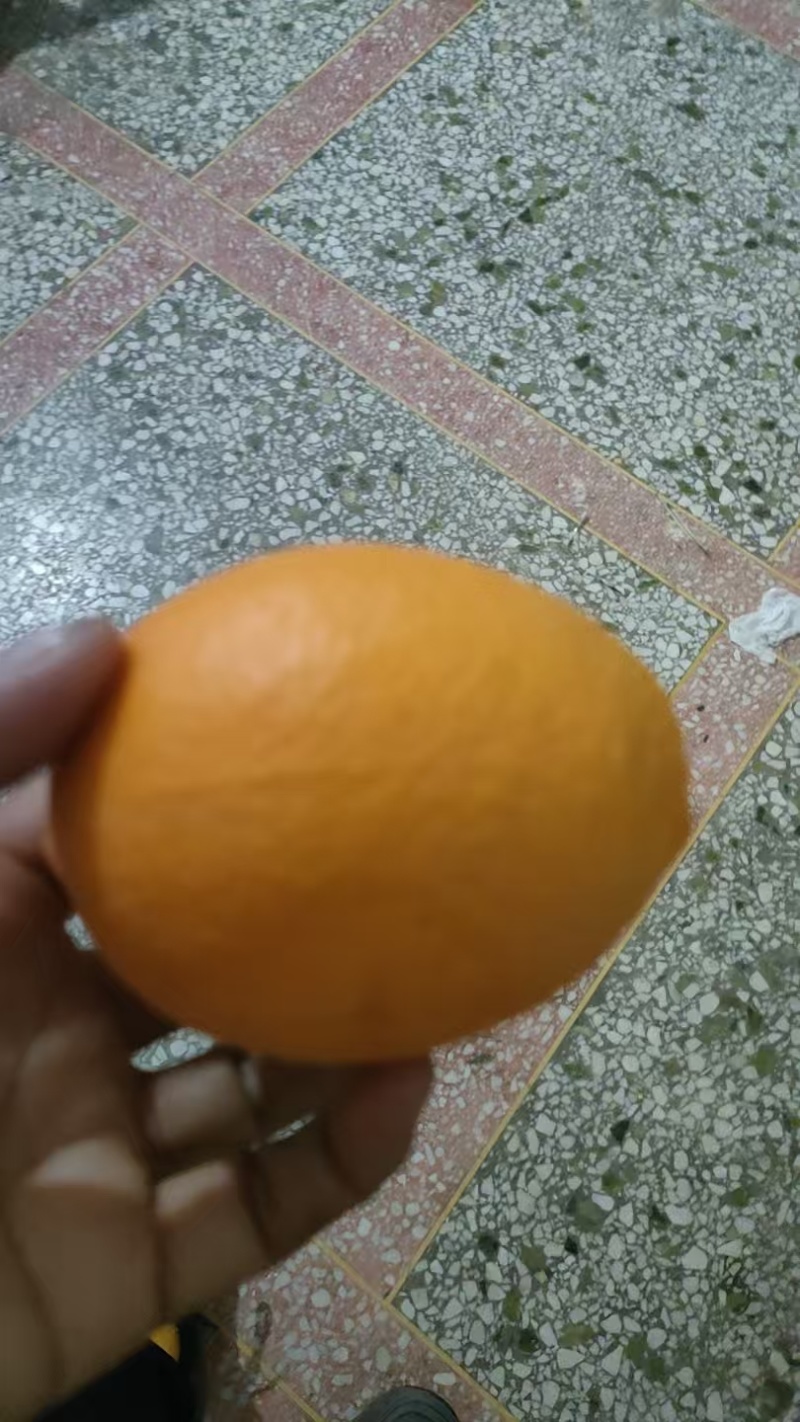 枝江脐橙,大量新鲜现货速发，产品保质保量欢迎选购