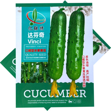 达芬奇口感型水果黄瓜种子强雌皮色油绿高产抗病大田基地