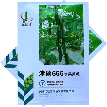 津硕666水果黄瓜种子早熟全雌瓜条顺直节节有瓜大田基地种