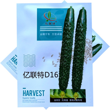 亿联特D16绿瓤黄瓜种子早熟油亮抗高温短把密刺大田基地用