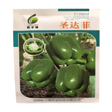 早熟甜椒种子圣达菲耐湿热四心室率高灯笼型辣椒种子