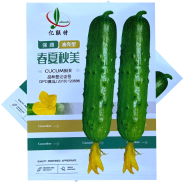 春夏秋美水果黄瓜种子强雌油亮皮色亮绿刺瘤大基地种植