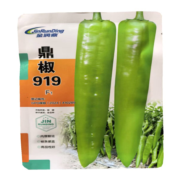 鼎椒919辣椒种子大果型黄绿皮牛角椒种子高产
