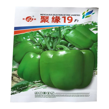 聚缘19甜椒种子灯笼椒种子早中熟杂交基地高产1000粒