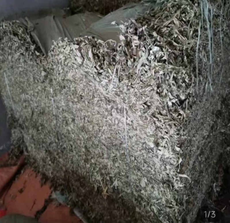 精品艾草干货供应对接全国市场/药材厂/品质保证来电洽谈
