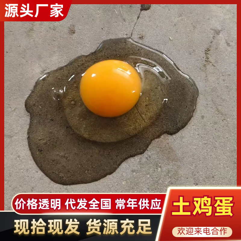 常年供应农家散养土鸡蛋绿壳粉壳混装散养土鸡蛋自家养殖保质