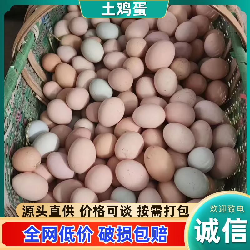 土鸡蛋散养土鸡蛋，规格齐全，品质保证，量大从优可视频看货