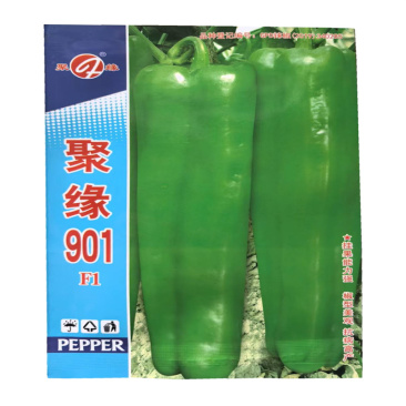 聚缘901辣椒种子高产基地大果牛角椒种子1000粒