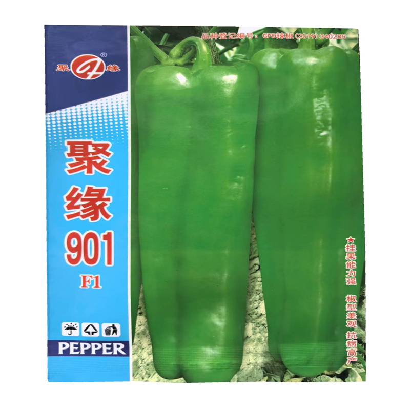 聚缘901辣椒种子高产基地大果牛角椒种子1000粒