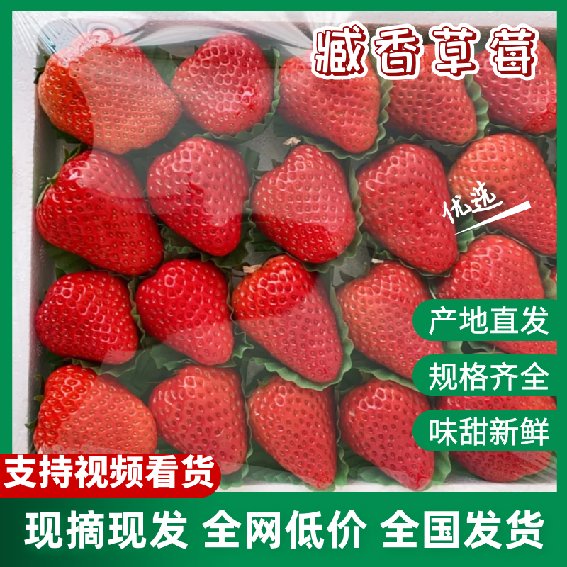 九九草莓，一手货源，保质保量，可视频看货，诚信经