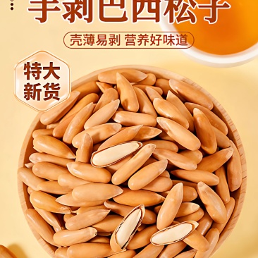 巴西松子2025新货手剥坚果大颗粒电商好货