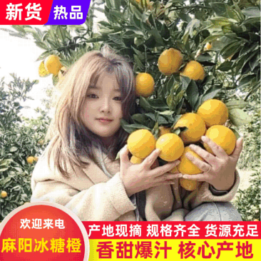 湖南冰糖橙新鲜直供皮薄肉嫩量大价优支持定制包装