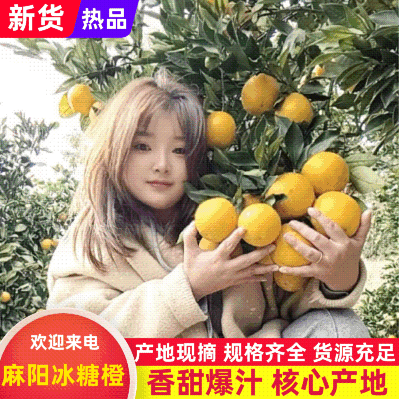 湖南冰糖橙新鲜直供皮薄肉嫩量大价优支持定制包装