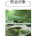 20%氯虫苯甲酰胺茚虫威触杀胃毒内吸渗透甘蓝小菜蛾农药杀