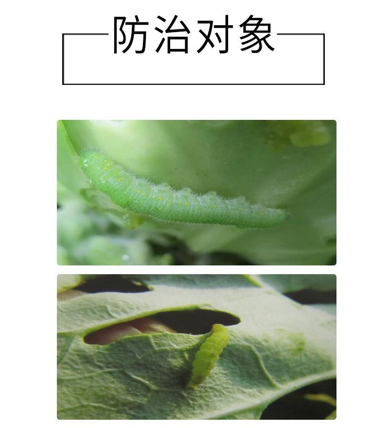 20%氯虫苯甲酰胺茚虫威触杀胃毒内吸渗透甘蓝小菜蛾农药杀