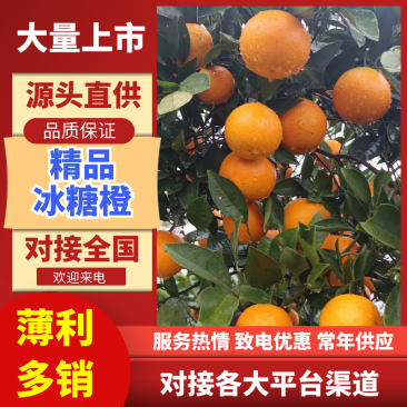 【果面干净甜度高口感好价格美丽欢迎老板砸单】