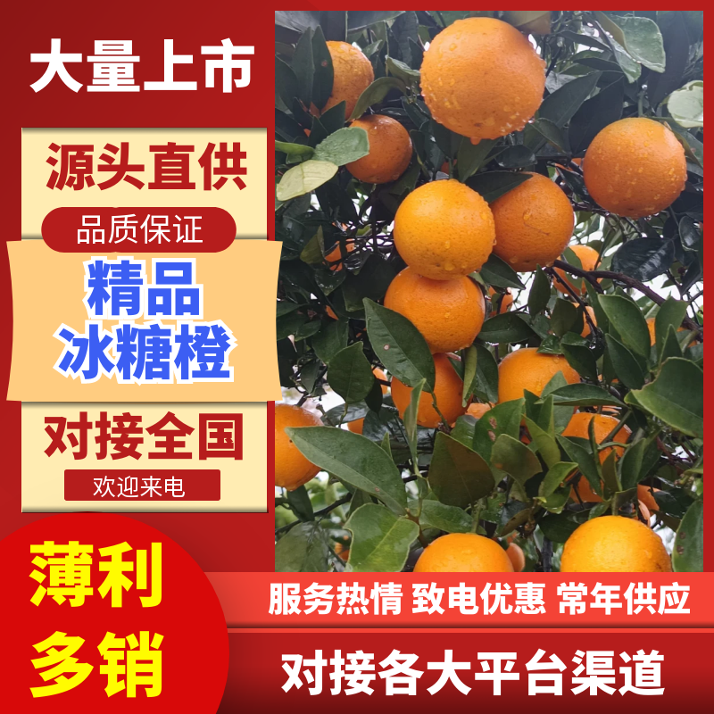 【果面干净甜度高口感好价格美丽欢迎老板砸单】