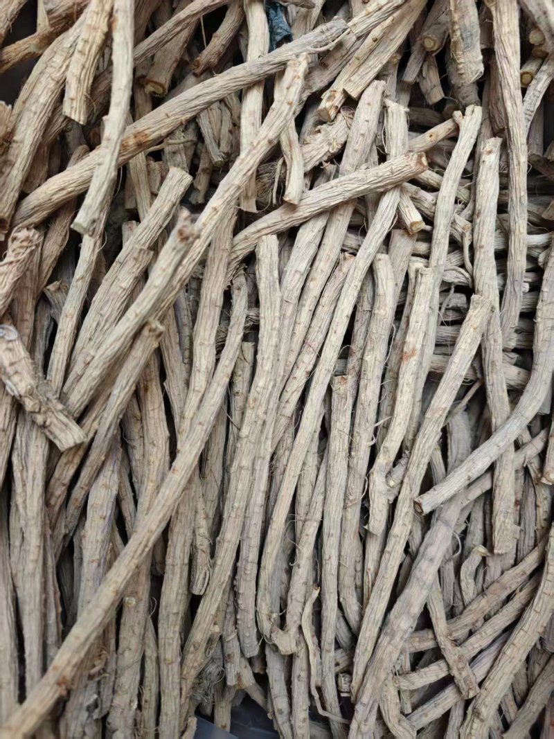 防风规格齐全品种齐全基地直发保质保量量大优惠