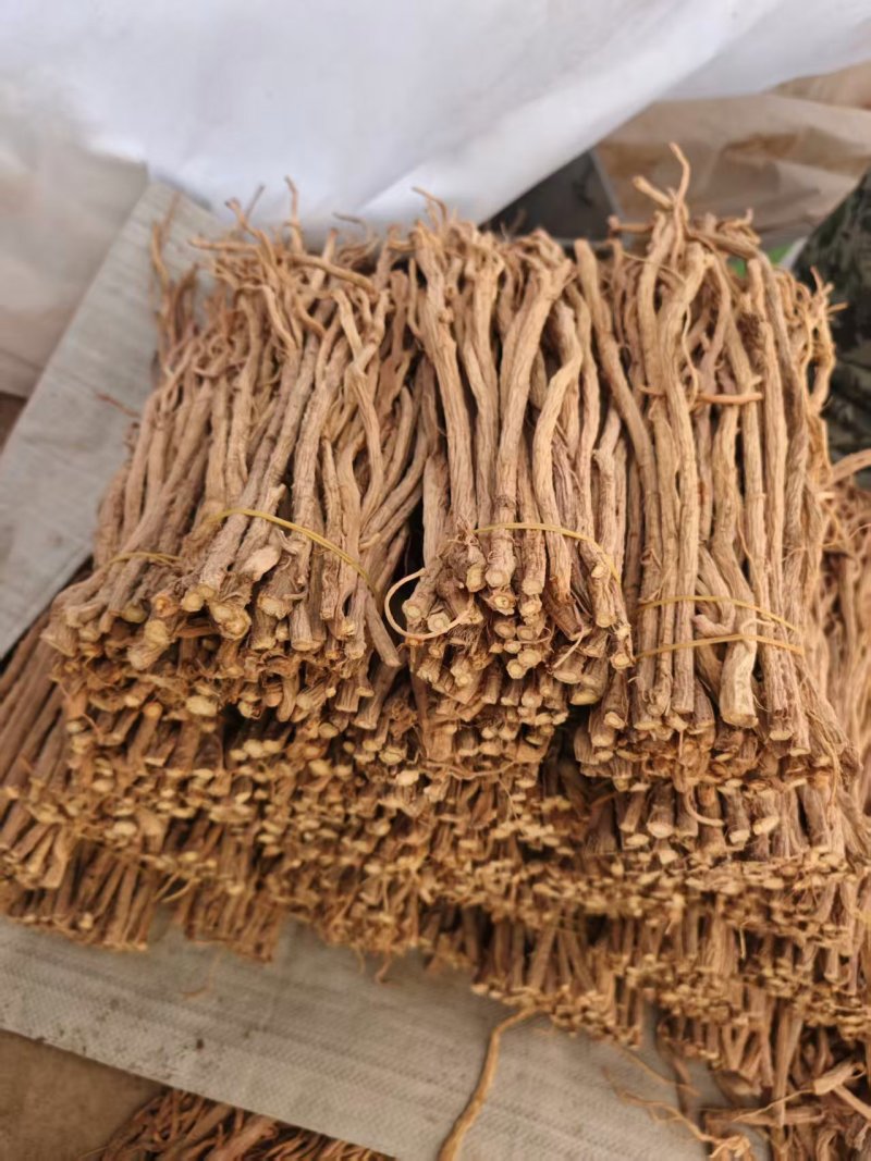 防风规格齐全品种齐全基地直发保质保量量大优惠