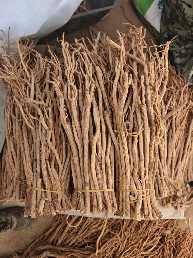 防风规格齐全品种齐全基地直发保质保量量大优惠