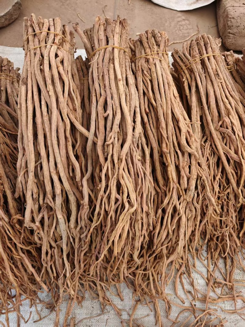 防风规格齐全品种齐全基地直发保质保量量大优惠