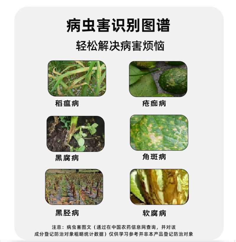 6%春雷霉素水稻稻瘟病细菌性病害软腐病溃疡病野火病农用杀