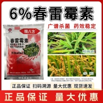 6%春雷霉素杀菌剂水稻稻瘟病流胶病溃疡病细菌性角斑病农用