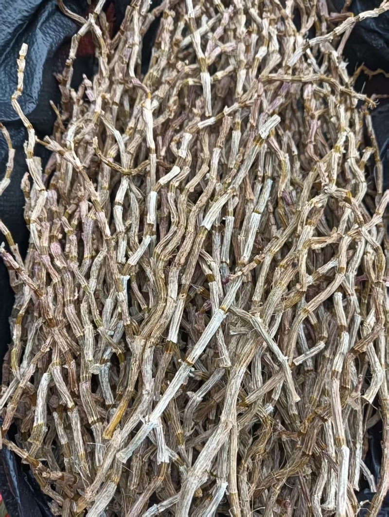 云南软脚铁皮石斛/干条石斛/农户种植一手货源现摘现发