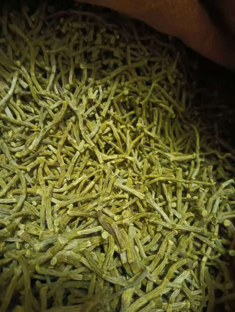 云南软脚铁皮石斛/干条石斛/农户种植一手货源现摘现发