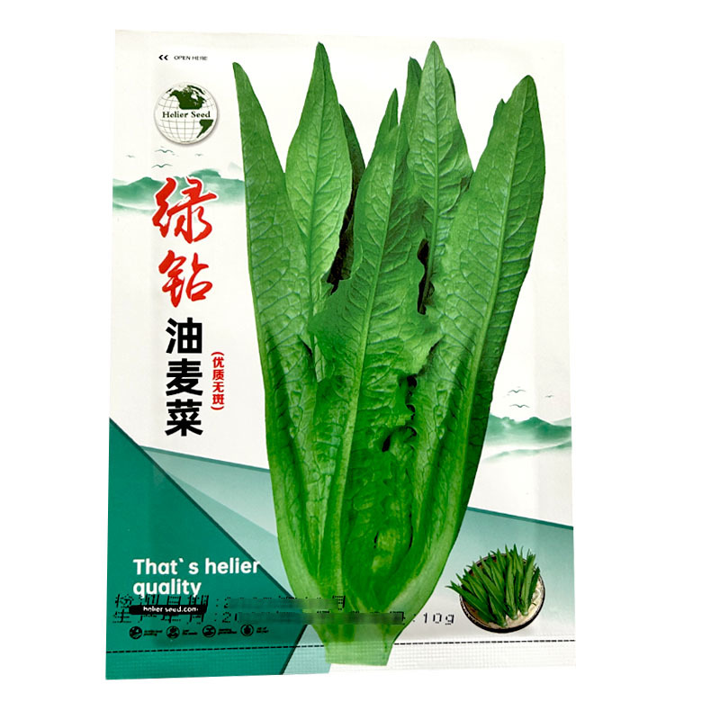 绿剑无斑香油麦菜种子大颗型油麦菜叶宽香油麦种籽