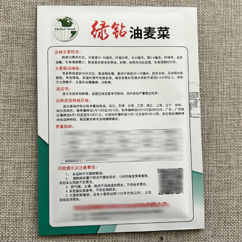 绿剑无斑香油麦菜种子大颗型油麦菜叶宽香油麦种籽