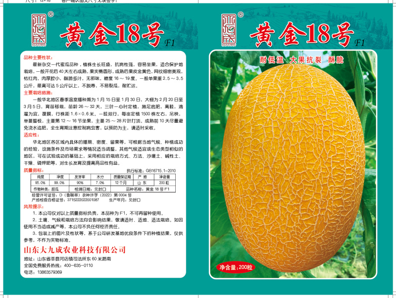 黄金18号耐低温黄网纹品种抗性强适合南北方种植