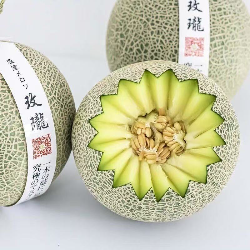财团718高档网纹瓜种子大果正圆型抗逆性强