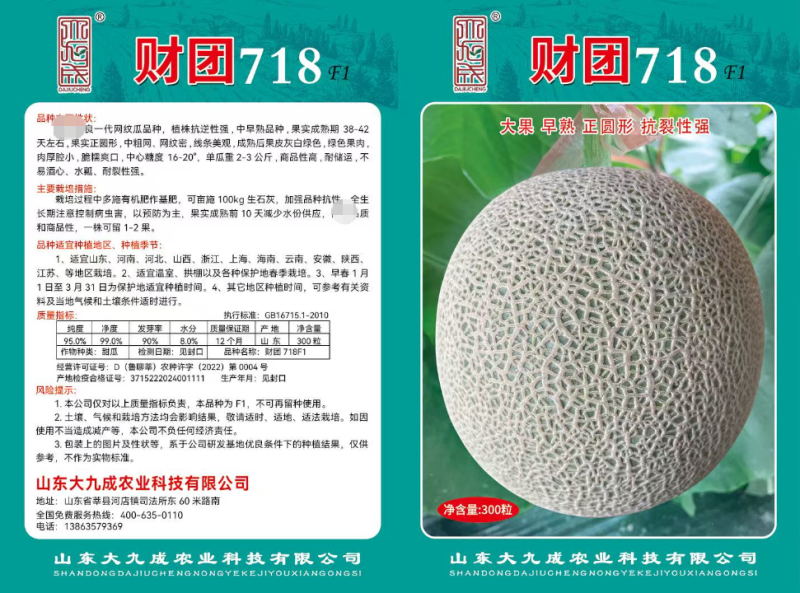 财团718高档网纹瓜种子大果正圆型抗逆性强